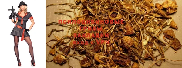 apvp Белоозёрский