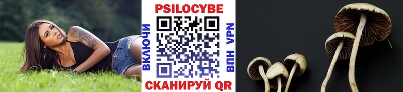 Галлюциногенные грибы Psilocybine cubensis omg ONION Нижняя Тура